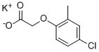 Structure of 5221-16-9