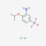 Structure of 473574-83-3
